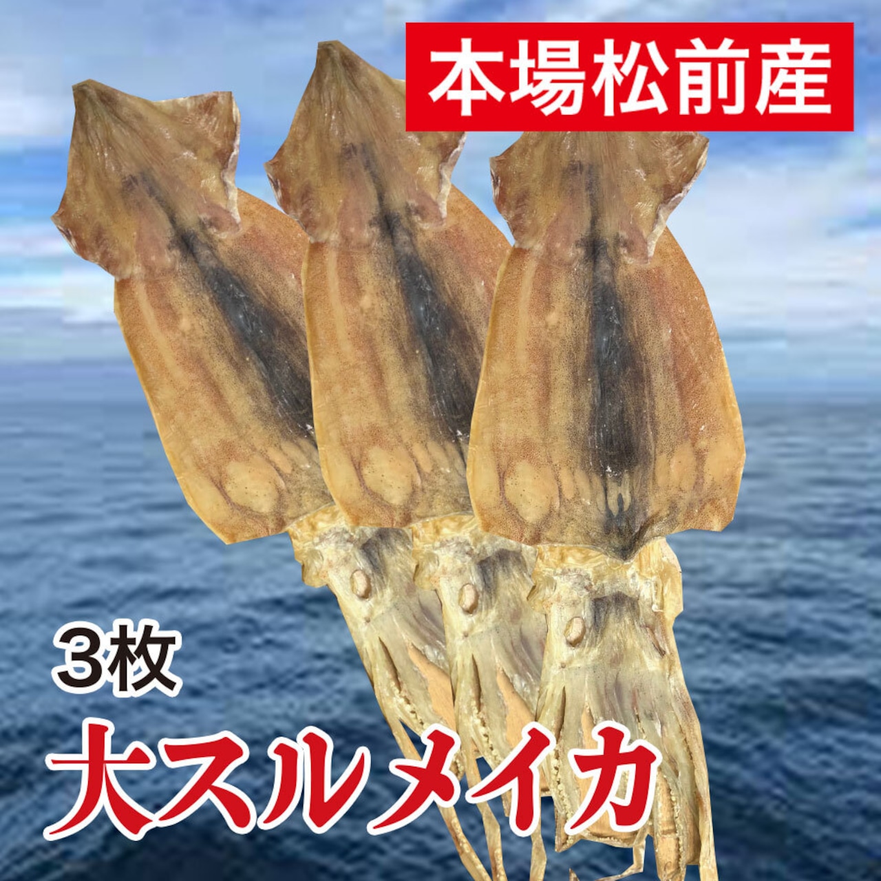 【本場松前加工】 スルメイカ　4枚