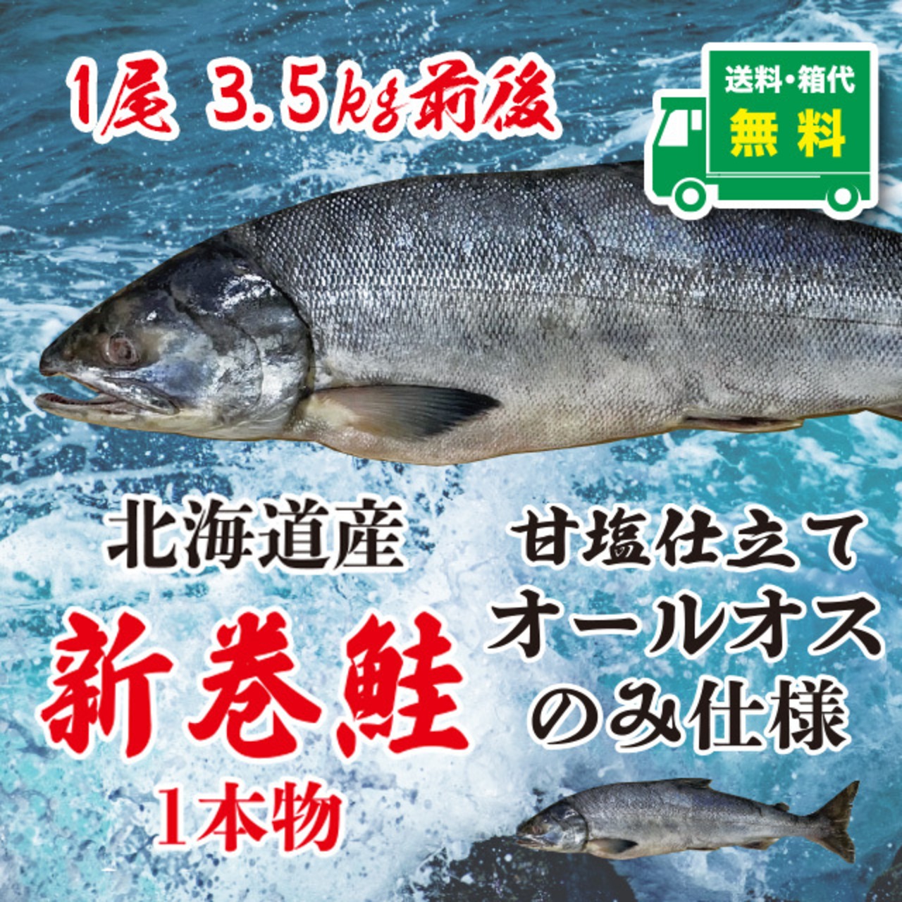 日高産新巻鮭　甘塩仕立て　1尾2.8kg前後 【送料・箱代無料】