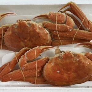 北海道産 茹でたてずわい蟹 大サイズ500g２尾【送料・箱代無料】