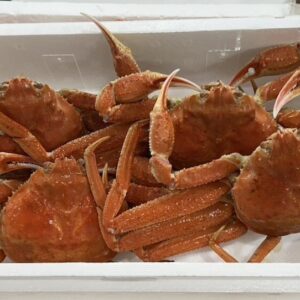 北海道産 茹でたてずわい蟹 たっぷり1.5㎏（4尾～5尾入り） 【送料・箱代無料】