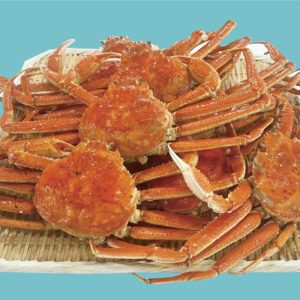 【8尾】福屋食堂大人気のズワイ蟹食べ放題をご自宅で味わえるセット【送料・箱代込】サイトリニューアルオープン　