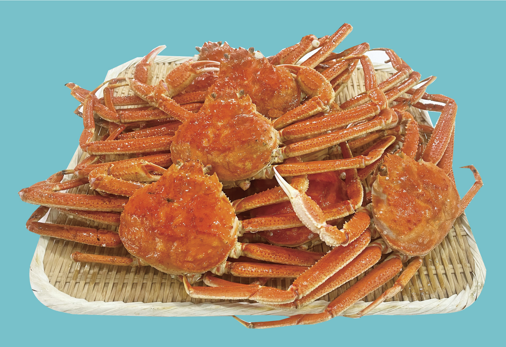 【8尾】福屋食堂大人気のズワイ蟹食べ放題をご自宅で味わえるセット【送料・箱代込】サイトリニューアルオープン